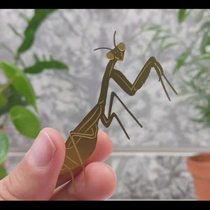 Praying Mantis plant animal decoration