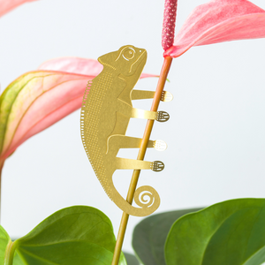 chameleon plant animal decorative gift