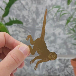 Plant Animal hanging decoration Spider Monkey