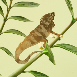 iguana lizard decoration for plant ins gold