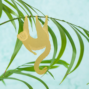 hanging animals for plants Plant Animal Lemur