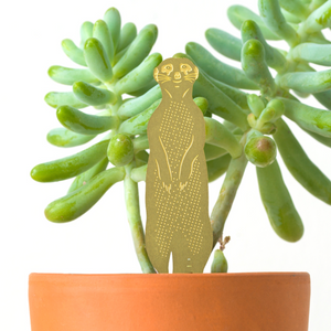 meerkat plant animal decoration