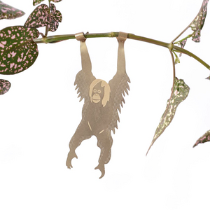 orangutan plant animal decoration