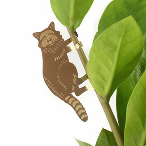 raccoon plant animal decoratoin