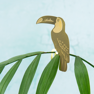 toucan houseplant decoration