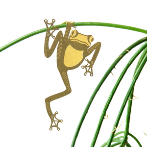 frog houseplant decoration